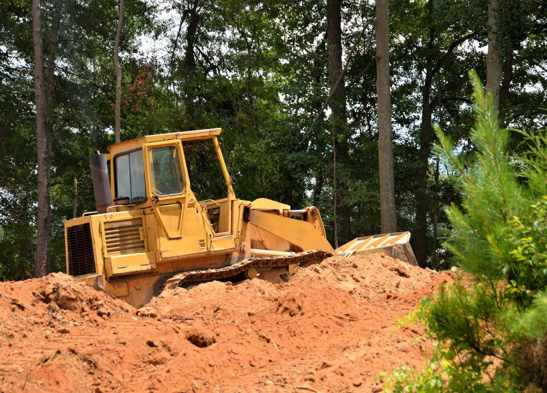 Brush Clearing Service in Birmingham Al