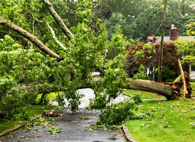 24 Hour Storm Service in Birmingham Al