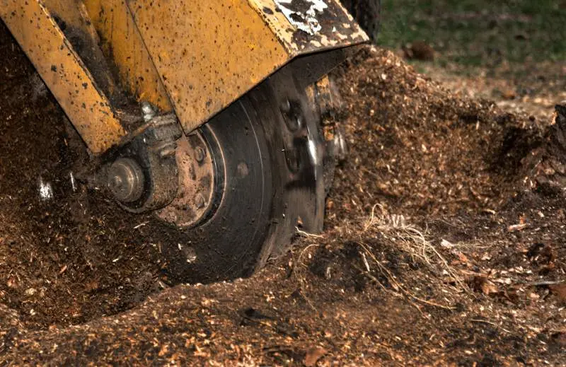 Stump Grinding Service in Birmingham Al